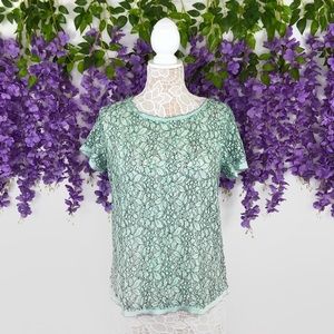 Ann Taylor Loft Contrast Trim Lace Blouse